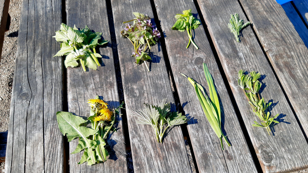 spiselige-planter.jpg